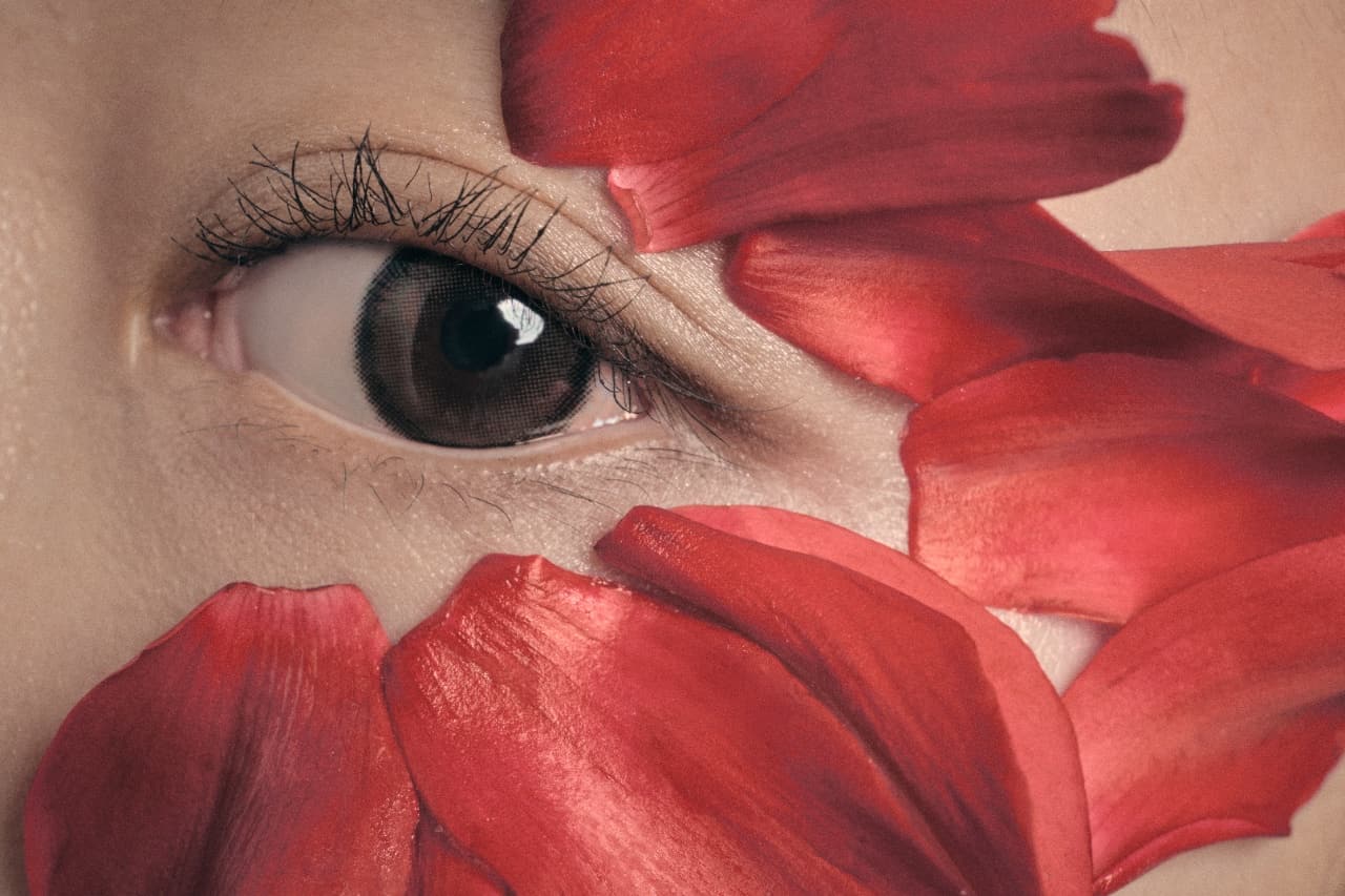 An eye framed by red petals